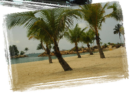 saario2006_07001005.jpg