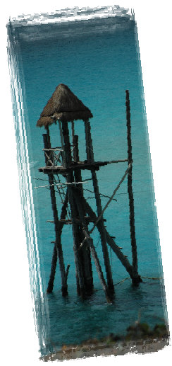 saario2006_07001007.jpg